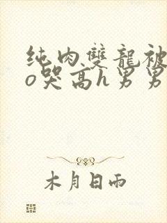 纯肉双龙被cao哭高h男男视频封面