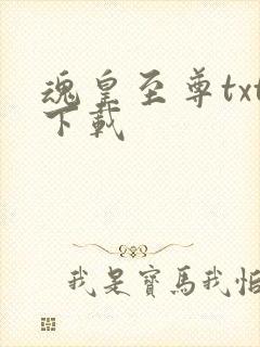 魂皇至尊txt下载