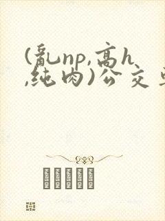 (乱np,高h,纯肉)公交车群p小说