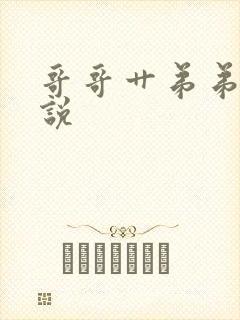 哥哥艹弟弟的小说封面