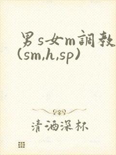 男s女m调教文(sm,h,sp)