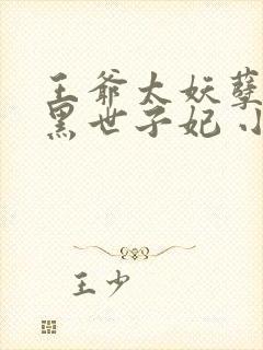 王爷太妖孽:腹黑世子妃 小说封面