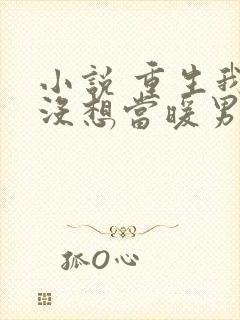 小说 重生我真没想当暖男封面