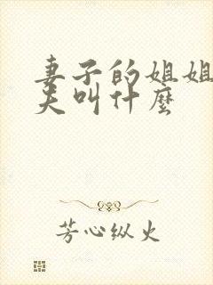 妻子的姐姐的丈夫叫什么