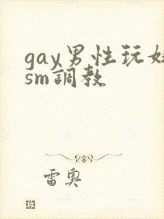 gay男性玩奴sm调教
