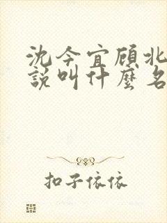 沈今宜顾北玄小说叫什么名字