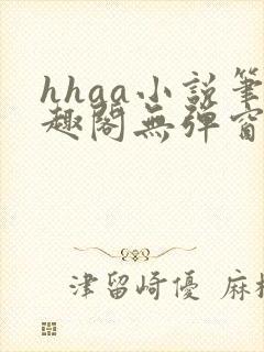 hhaa小说笔趣阁无弹窗最新章节