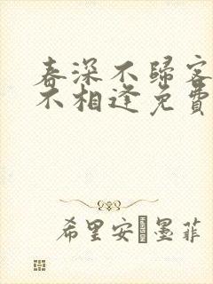 春深不归客清梦不相逢免费阅读全文