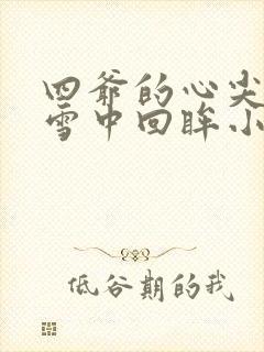 四爷的心尖宠妃雪中回眸小说精校版全集txt封面