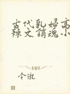 古代乳妇高h肉辣文销魂小妾