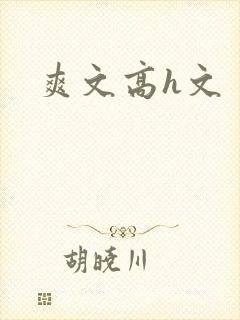 爽文高h文