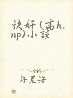 快奸 (高h.np)小说