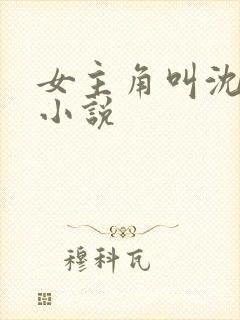 女主角叫沈颜的小说封面