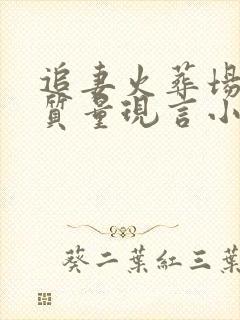 追妻火葬场的高质量现言小说封面