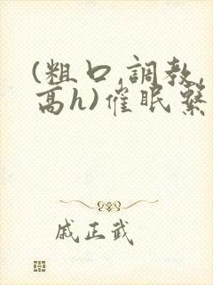 (粗口,调教,高h)催眠系统