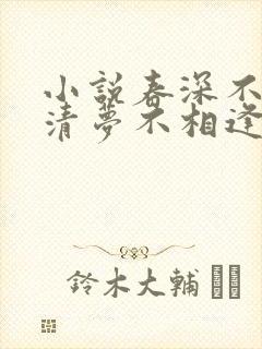 小说春深不归客清梦不相逢免费阅读