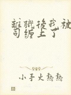 离职后我被前上司缠上了封面