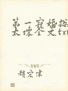 第一宠婚总裁别太坏全文txt