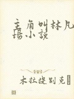 主角叫林凡的官场小说封面