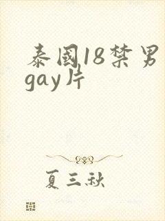 泰国18禁男男gay片