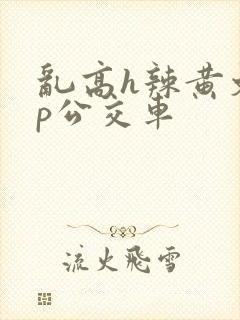 乱高h辣黄文np公交车