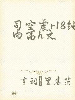 司空震r18纯肉高h文