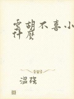 云胡不喜小说讲什么