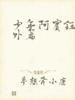 少年阿宾钰慧番外篇