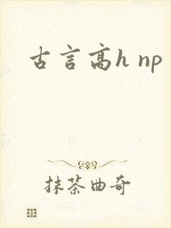 古言高h np封面