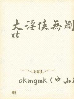 大淫侠无删减txt