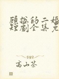顾总的二婚娇妻短剧全集免费封面