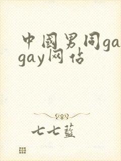 中国男同gaygay网站