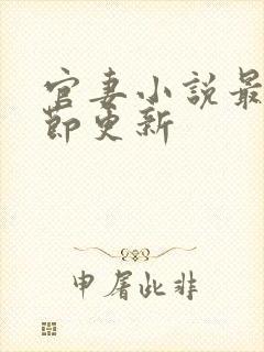 官妻小说最新章节更新