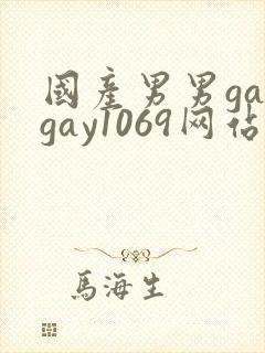 国产男男gaygay1069网站
