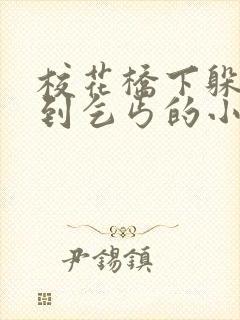 校花桥下躲雨遇到乞丐的小说封面