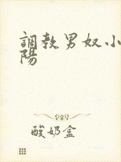 调教男奴小说虐阳封面