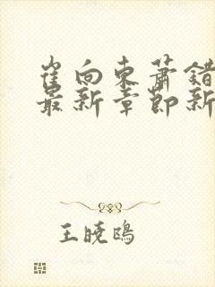 崔向东萧错小说最新章节新笔趣阁