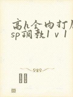 高h全肉打屁股sp调教1ⅴ1