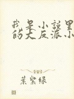我是小说里共同的大反派小说免费封面