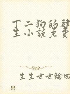 丁二狗的肆意人生小说免费1