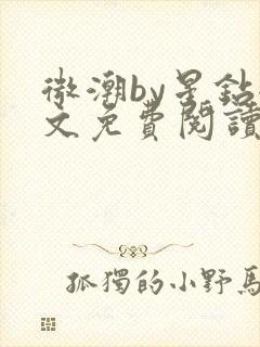 微潮by星钻全文免费阅读笔趣阁