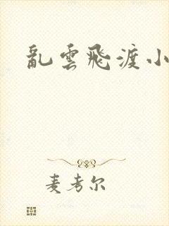 乱云飞渡小说