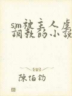sm被主人虐玩调教的小说封面
