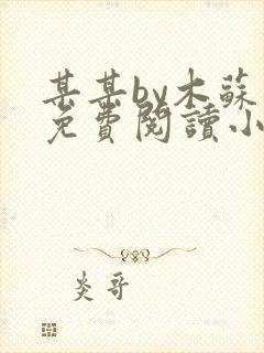 某某by木苏里免费阅读小说封面