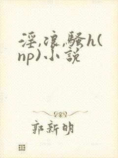 淫,浪,骚h(np)小说封面