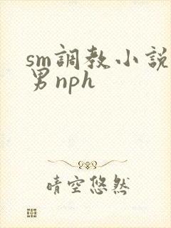 sm调教小说男男nph