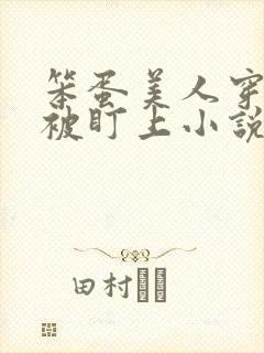 笨蛋美人穿书后被盯上小说免费阅读