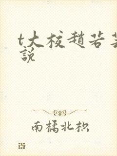 t大校赵若芸小说