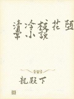 清冷校花堕落日常小说