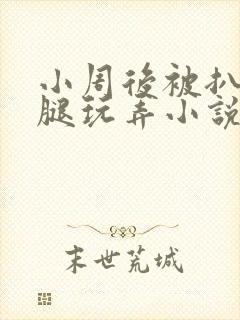 小周后被扒开双腿玩弄小说封面